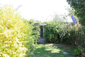 Photo 11- click for photo gallery